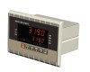 control weighing indicator (betching and catchweigher)
