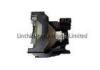 Hitachi DT00491 Original Projector Lamp with Housing NSH250W for Hitachi Projectors CP-HX3000 CP-HX6