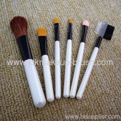 6 pcs Mini Size Makeup Brush Set