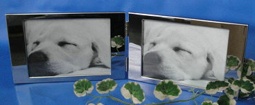  Folding Double metal photo frames