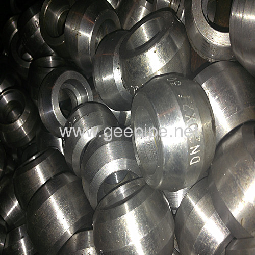 ASTM A182 F304 steel Forged Flange Outlet