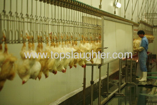 chicken slaughter processing machine