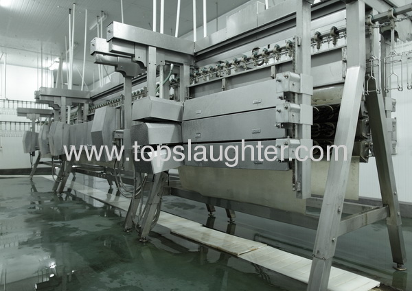 chicken slaughter defeathering machine