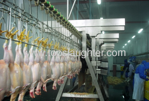 chicken slaughter defeathering machine