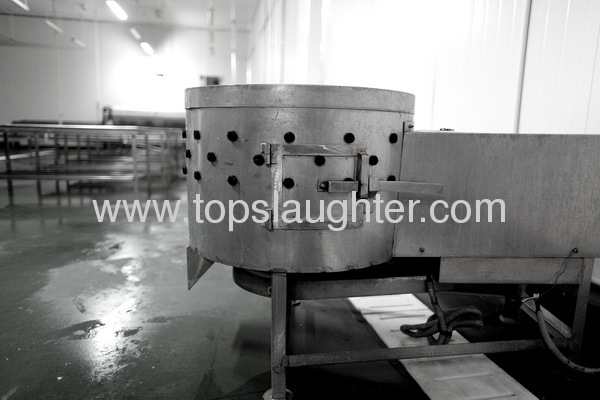 poultry processing equipment gizzard Washer