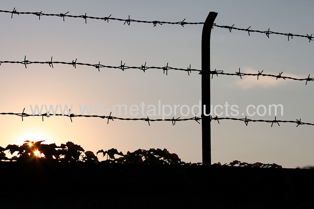 galvanized barbed wire with handle