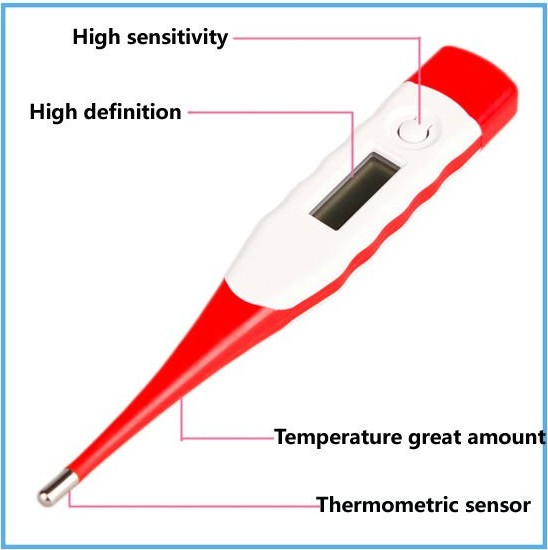 Large LCD Flexible Digital Thermometer