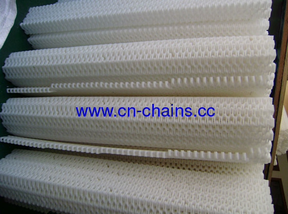 Radius Curve Plastic Modular Conveyor Belt (RW-flex-SNB L)