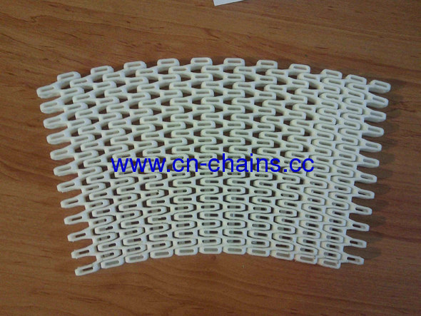 Radius Curve Plastic Modular Conveyor Belt (RW-flex-SNB L)