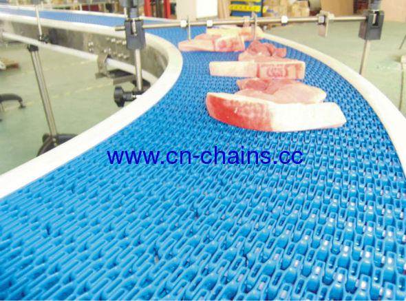 Radius Curve Plastic Modular Conveyor Belt (RW-flex-SNB L)