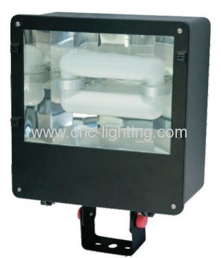 40-150W shoe box induction garden light