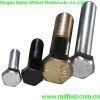 Hex Bolt with ZY/ZP