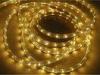 Anti - moisture IP65 gold color led flexible rope lights for decoration with24V 110v 220v input