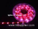 High efficiency custom durable Energy Saving SMD 3528 LED strip 120leds with 120 degrees Beam Angle