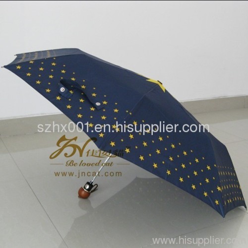 Transparent 2 folding umbrella