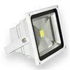 LED Flood Lighting 10W LS-F1001