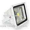 LED Flood Lighting 10W LS-F1001