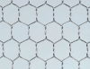 Straight twist hexagonal wire mesh