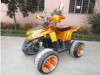 ELECTRIC ATV TKE 800