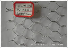 Hexagonal Wire Netting/Hexagonal wire mesh