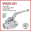 BSP 1 inch hydraulic 2 way female thread oil or gas ball valve high pressure 5000psi with mounting holes