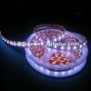 CREE SMD white led strip smd 5050 ip 67 5m/roll