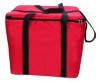 disposable picnic cooler bags