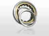 Four Point angular contact ball bearings