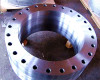 DIN2576 DN 200 carbon steel forged flat face flange