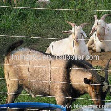 Field fence, ideal for deer, cattle, grassland and cow