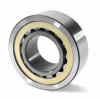 Chinese cylindrical roller bearings