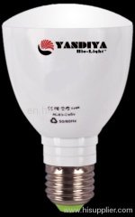 Remote Standard LED Bulb