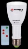 12V DC Remote LED bulb