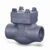 1/2&quot; - 36&quot; Mechanical Check Valve, Forged Steel Valves ASME B16.34