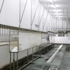 Poultry processing equipment chicken stunner
