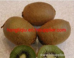 shaanxi Fresh Kiwi Fruit