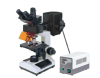 Economic biological Epi-Fluorescent microscope N107F
