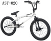 20-Inch Boy's Freestyle Bike