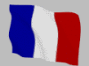 Custom 3*5ft French Flag