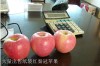 Qinguan apple (Fresh Qinguan Apple)