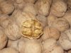 Shaanxi walnut (walnut seed)