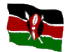 3*5ft 100% polyester Kenya flag