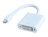 DisplayPort Adapter MINI DP Male to DVI Female 17CM