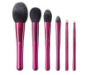 6 PCS Fashionable Makeup Brush Set