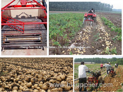 Best selling double rows and single row potato harvester for Farm Use