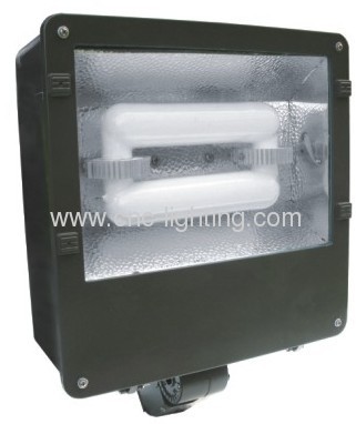 UL listed 40-150W shoe box induction garden light