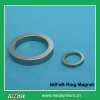 Neodymium Ring Magnet,Permanent Magnet