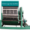 Hot selling 8 sided High Quality Pulp Molding Machine/Pulp Molding Machine/Buy Pulp Molding Machine