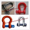 Price Stainless steel shackle,manufacture D- Shackle