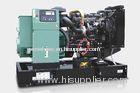 AC Alternator Genset , Perkins Diesel Generator Set 50 Amp